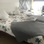Optimus Comfort Πανσιόν *