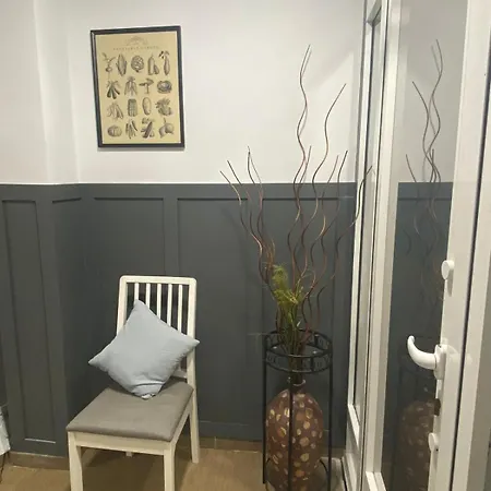 Optimus Comfort Hostel